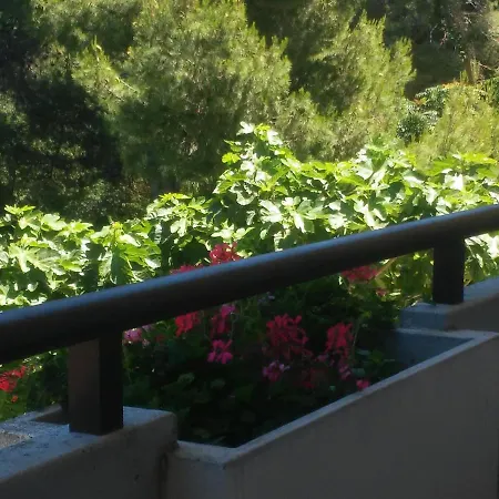 فندق مبيت وإفطار Colle Foresta Montesilvano Marina